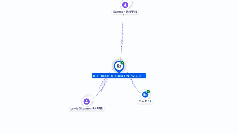 Cartographie gratuite B.R.I. (BROTHERS RAFFIN INVEST) - 914990866