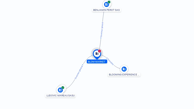 Cartographie gratuite BLOM MARKET - 910843481