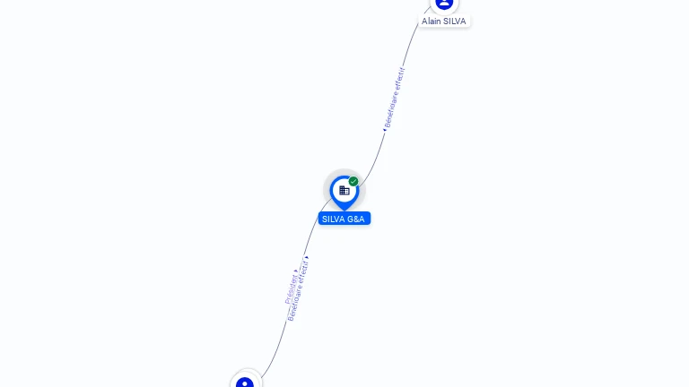 Cartographie gratuite SILVA G&A - 900986605