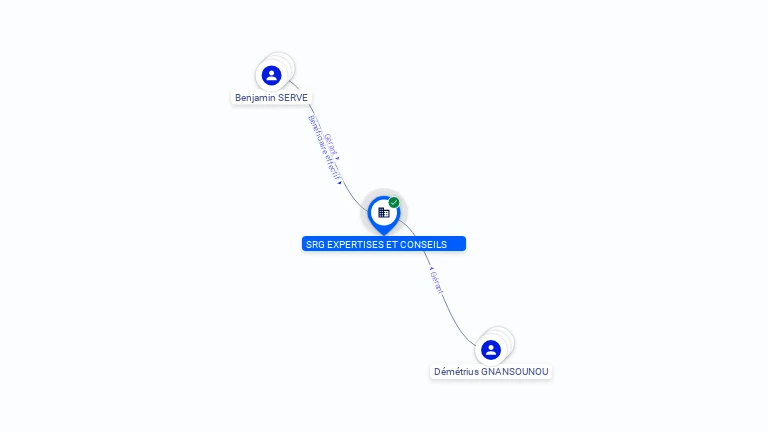 Cartographie gratuite SRG EXPERTISES ET CONSEILS - 824013262