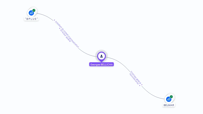 Cartographie gratuite de Georges BELLICHA