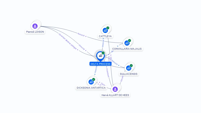 Cartographie gratuite de DELTA PROCESS