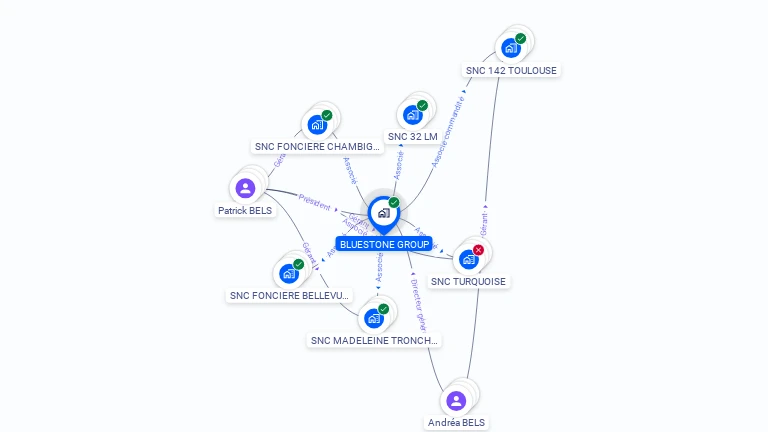 Cartographie gratuite de BLUESTONE GROUP