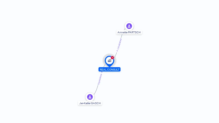 Cartographie gratuite de REAL CONSULT