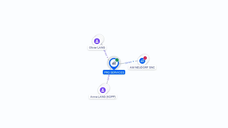 Cartographie gratuite de PRO SERVICES