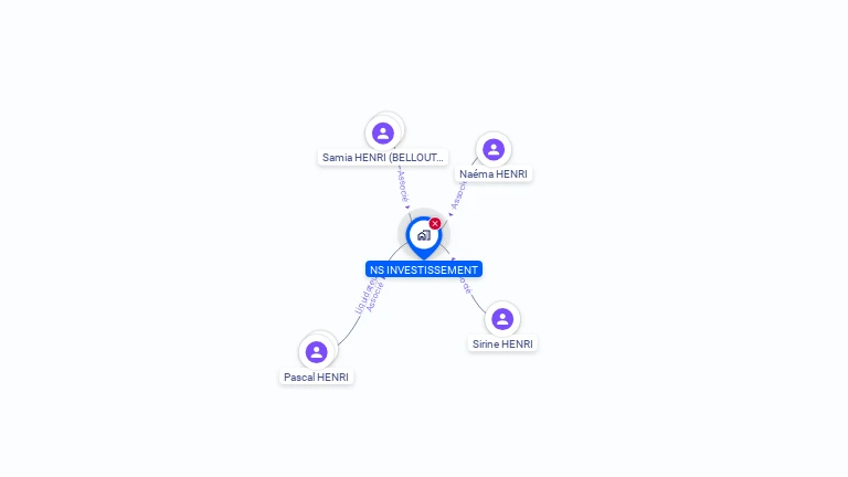 Cartographie gratuite de NS INVESTISSEMENT