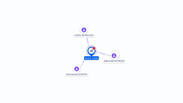 Cartographie gratuite de B.S.E. LYON