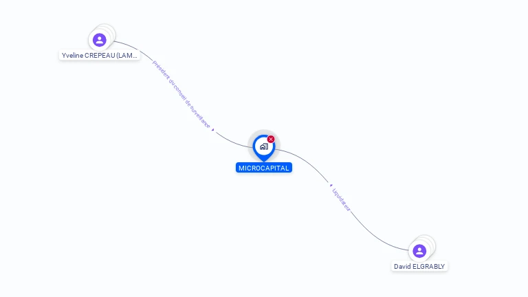 Cartographie gratuite de MICROCAPITAL
