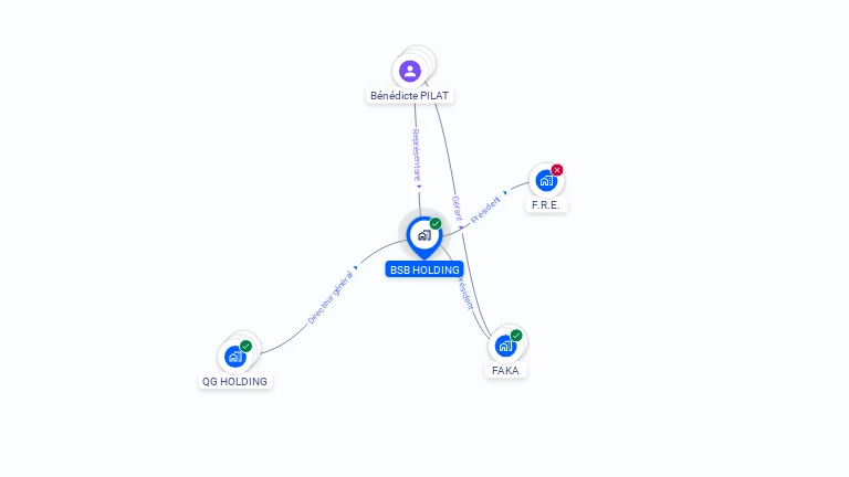 Cartographie gratuite de BSB HOLDING