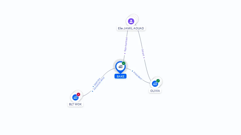 Cartographie gratuite de BAKE