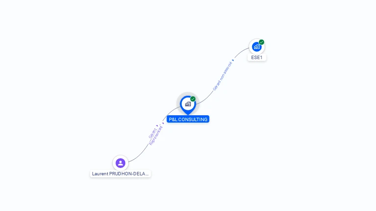 Cartographie gratuite de P&L CONSULTING
