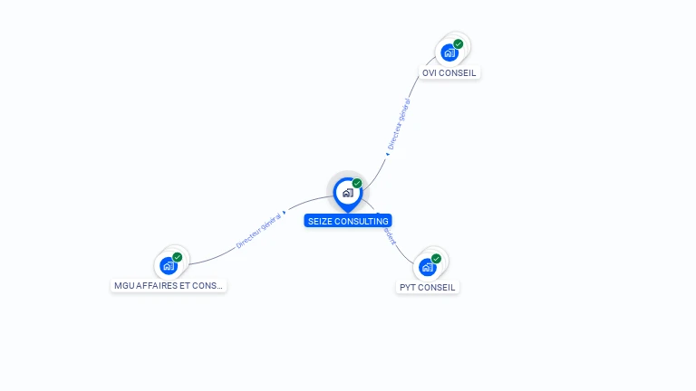 Cartographie gratuite de SEIZE CONSULTING