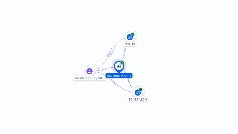Cartographie gratuite de HOLDING PROFIT