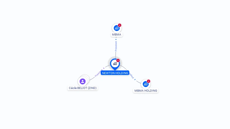 Cartographie gratuite de NEWTON HOLDING