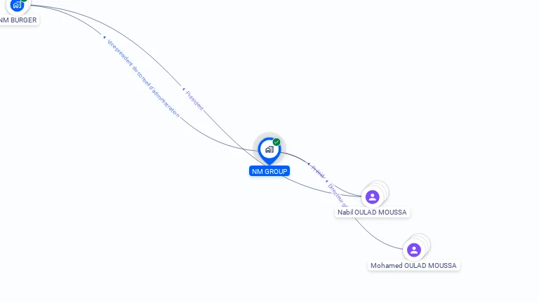 Cartographie gratuite de NM GROUP