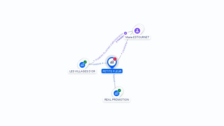 Cartographie gratuite de PETITE FLEUR