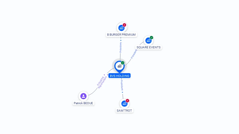 Cartographie gratuite de BVS HOLDING