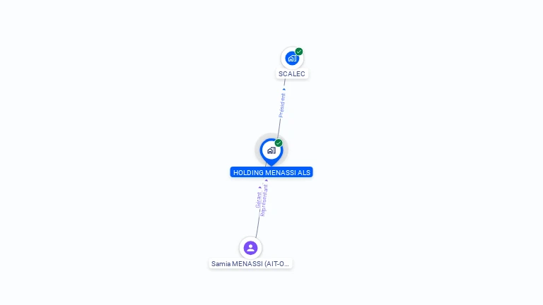 Cartographie gratuite de HOLDING MENASSI ALS