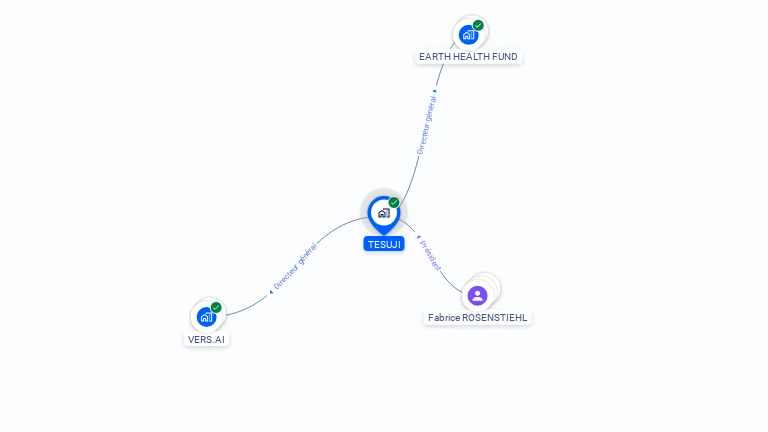 Cartographie gratuite de TESUJI