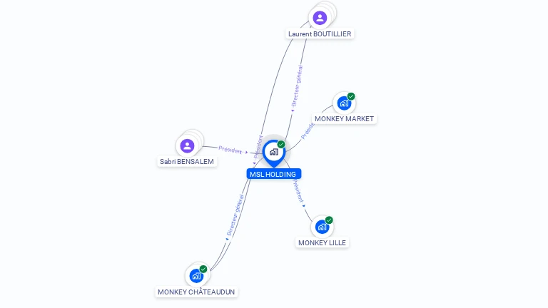 Cartographie gratuite de MSL HOLDING