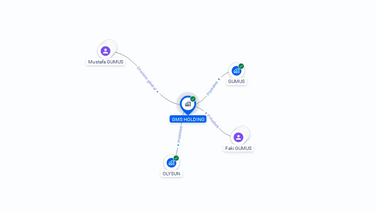 Cartographie gratuite de GMS HOLDING