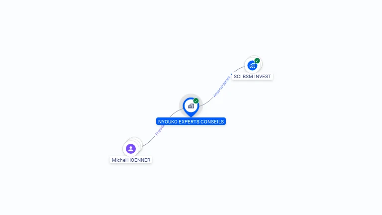Cartographie gratuite de NYOUKO EXPERTS CONSEILS