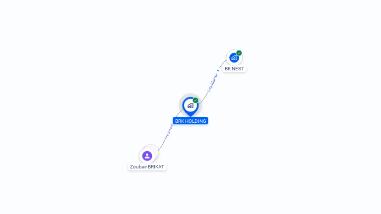 Cartographie gratuite de BRK HOLDING