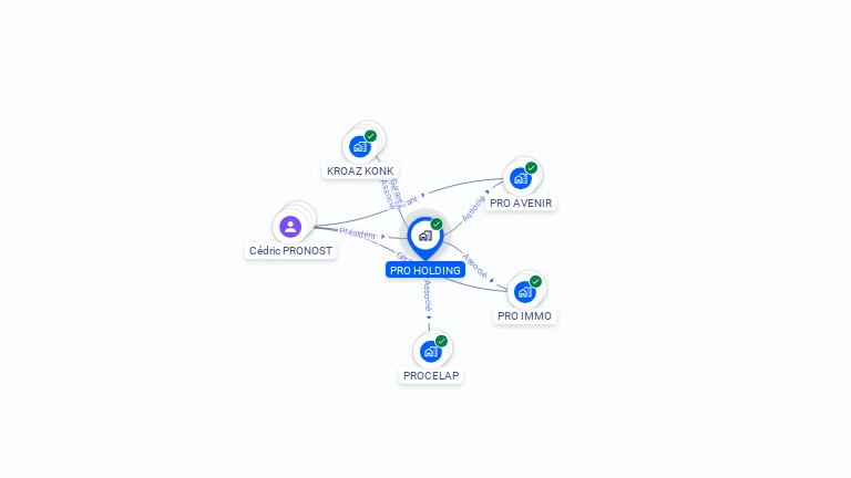 Cartographie gratuite de PRO HOLDING