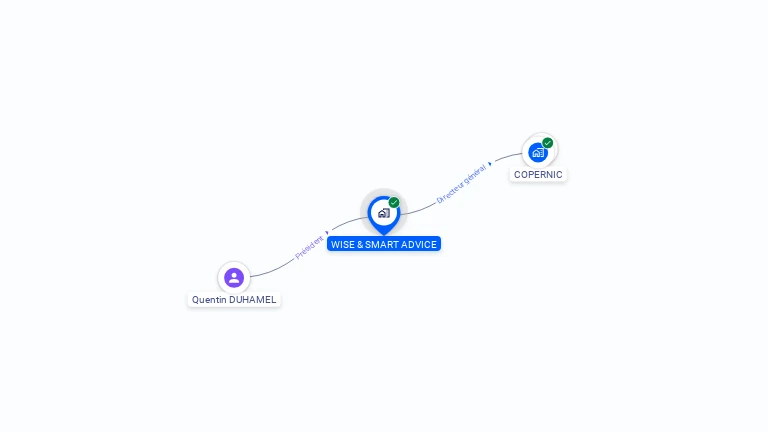 Cartographie gratuite de WISE & SMART ADVICE