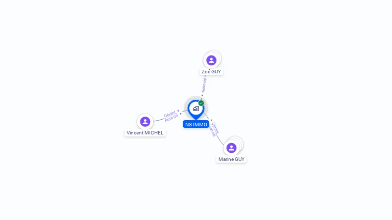 Cartographie gratuite de NS IMMO