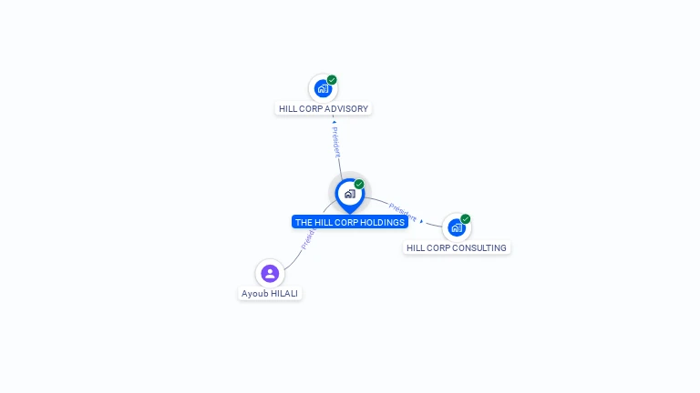 Cartographie gratuite de THE HILL CORP HOLDINGS