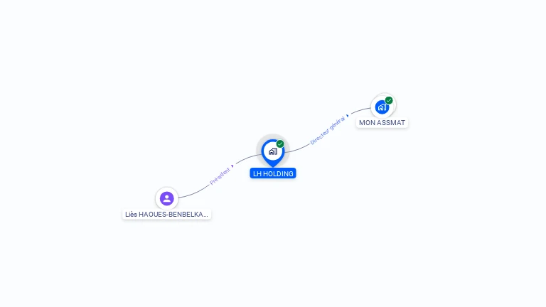 Cartographie gratuite de LH HOLDING