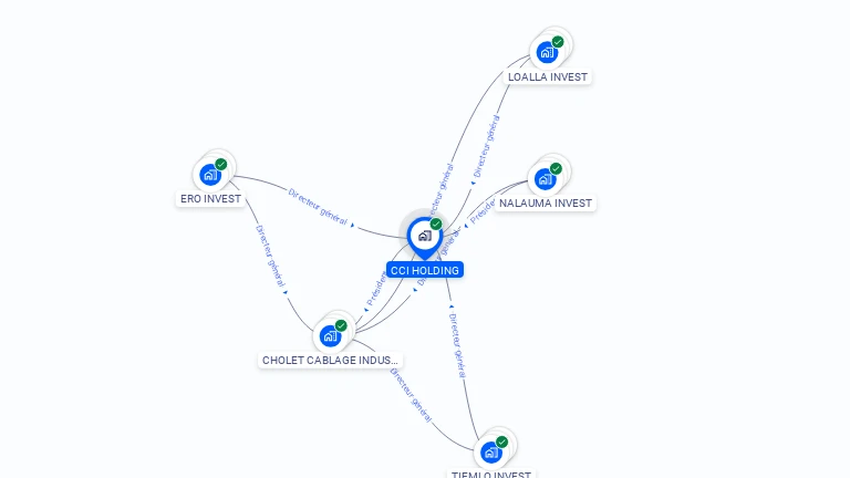 Cartographie gratuite de CCI HOLDING
