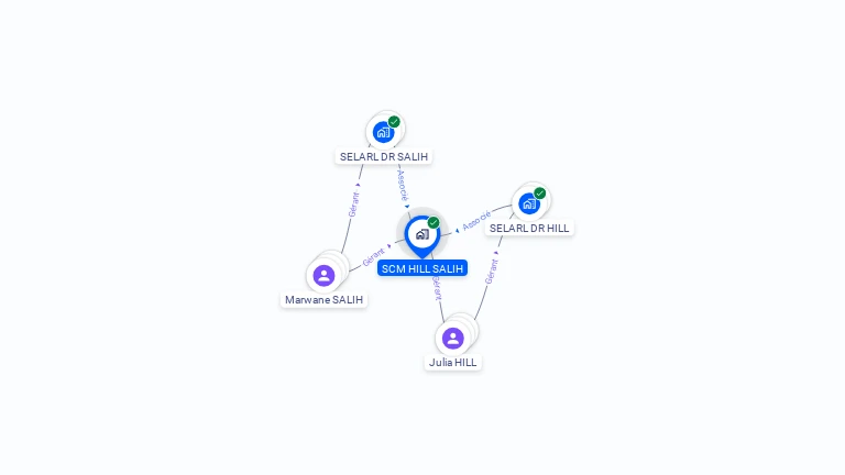 Cartographie gratuite de SCM HILL SALIH