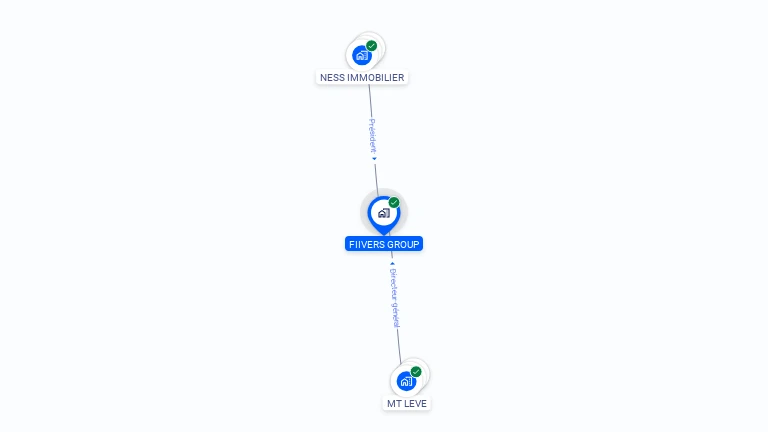 Cartographie gratuite de FIIVERS GROUP